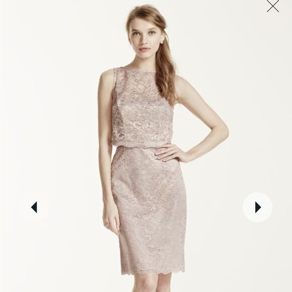 NWT David's Bridal Short Popover Lace Petal Pink Bridesmaid Dress Sz 4 - Picture 8 of 16